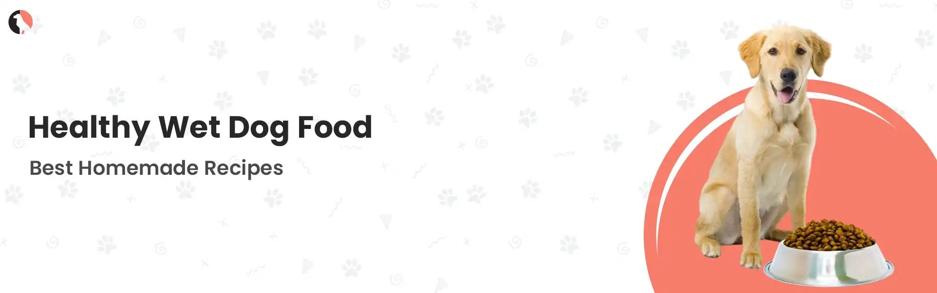 wet food for dogs