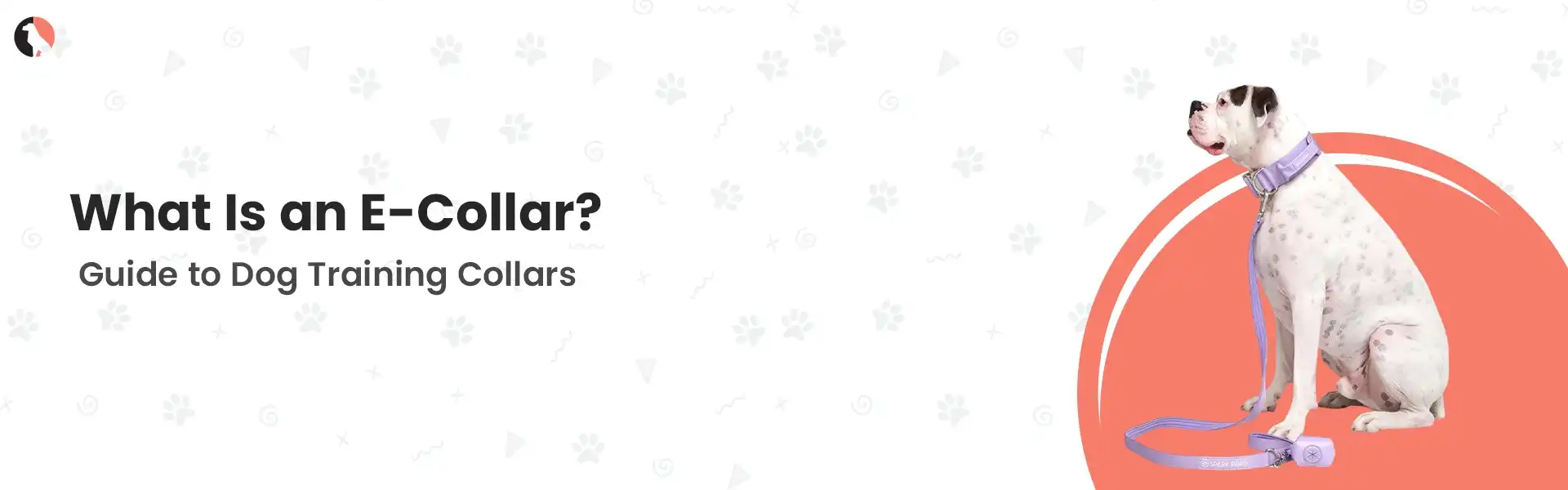 what is an e collar