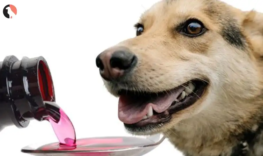 dog coughing and gagging