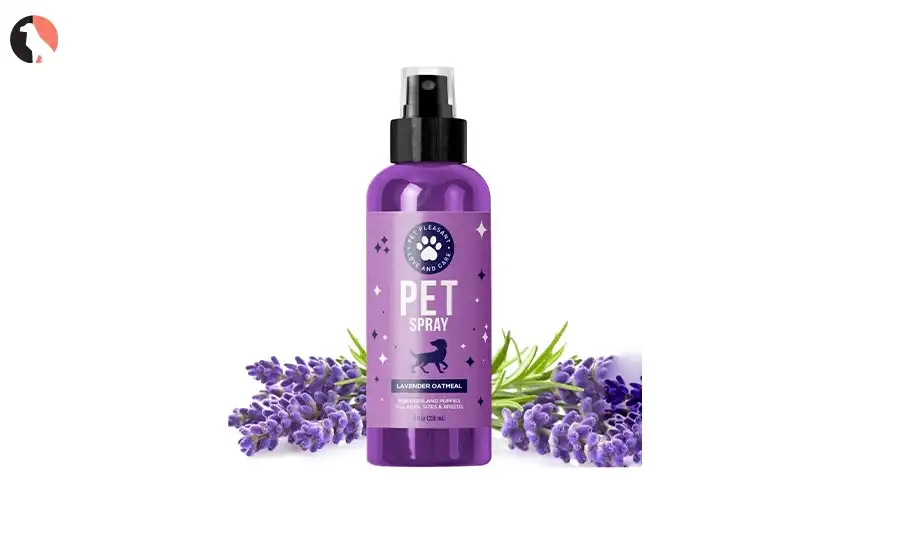 is lavender safe for dogs