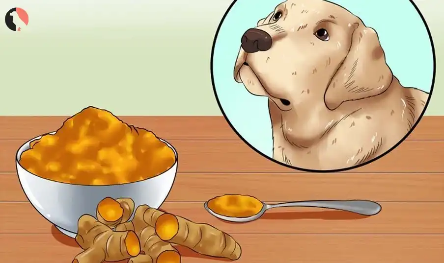 What kills worms in dogs 