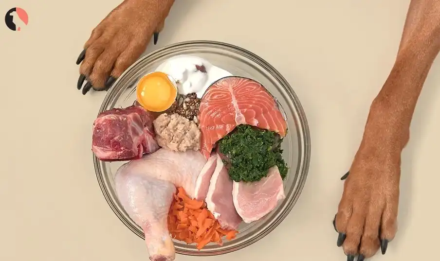 Calming Dog Food