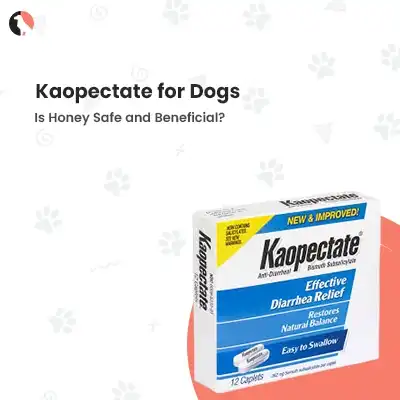 kaopectate for dogs