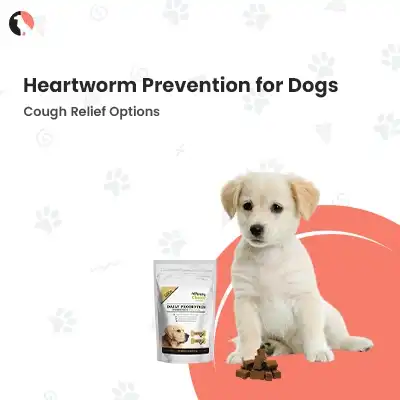 heartworm prevention for dogs