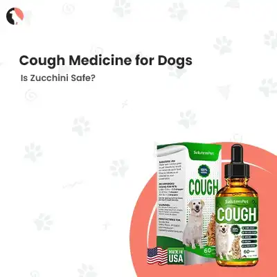 cough medicine for dogs