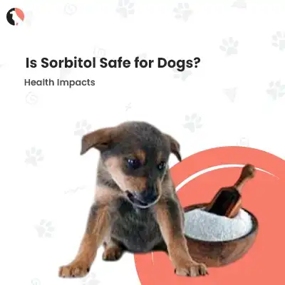 Is sorbitol bad for dogs