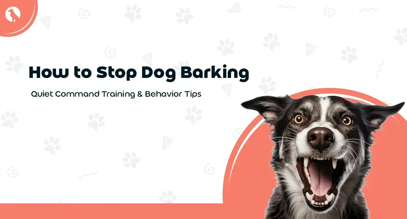 How to Stop Dog Barking: Quiet Command Training & Behavior Tips